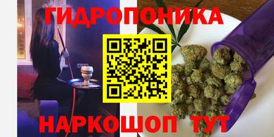 крисы Нягань