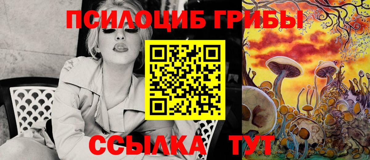 Чусовой  Псилоцибиновые грибы Magic Shrooms  купить наркотики сайты  Вход с VPN  Псилоцибиновые грибы Cubensis 
